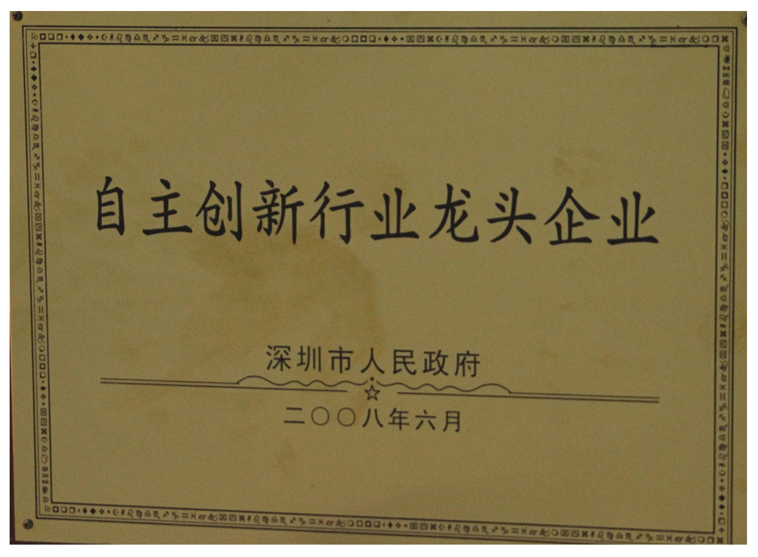 自主創新行業龍頭企業